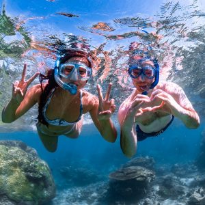 50336682358_7d346ff444_h